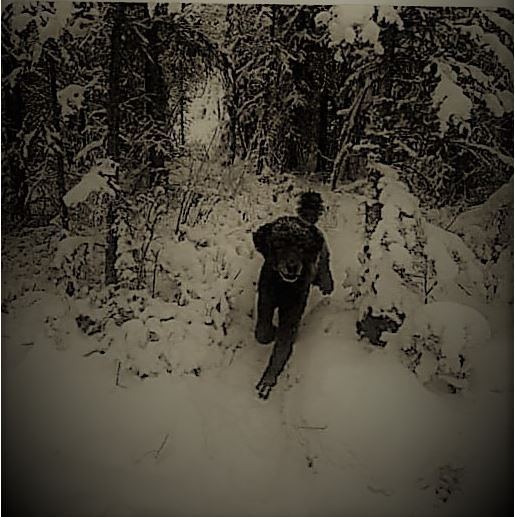 Man running