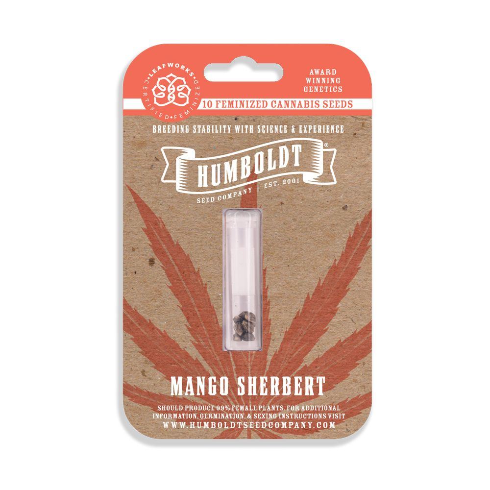 Mango Sherbert Mockup Generic web