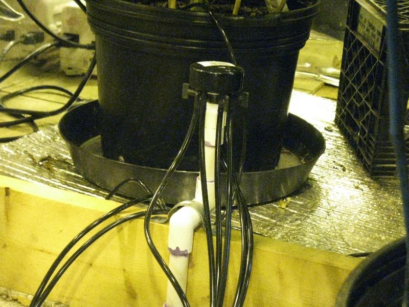 Manifold