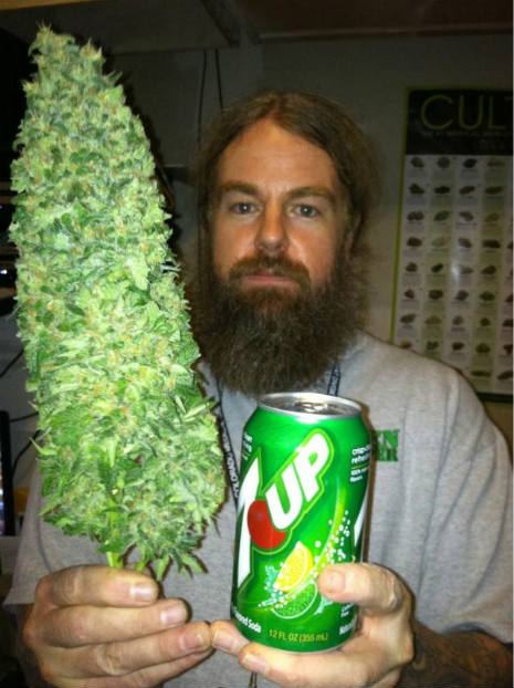 Marijuana1gfdgdg