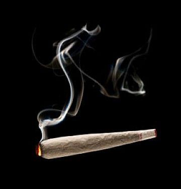 Marijuana2 288x300 thumb
