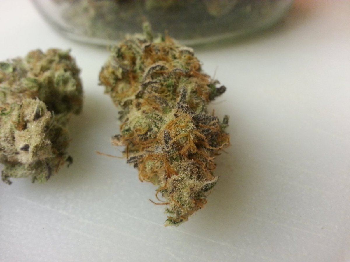 Marionberry 5 2