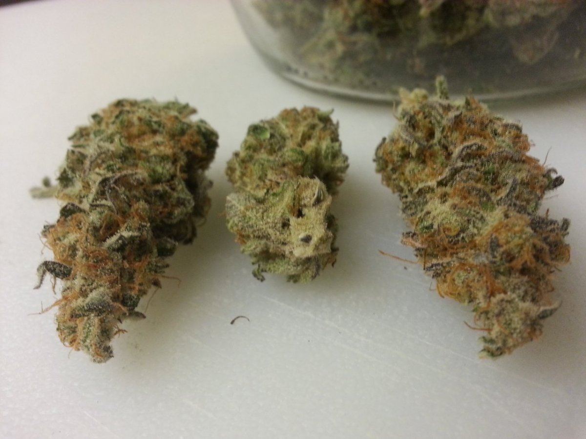 Marionberry 5 4