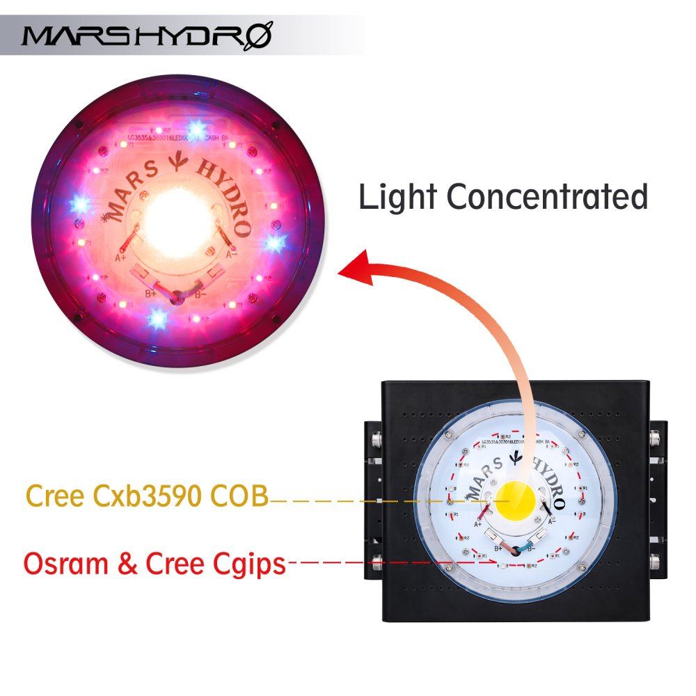 Mars hydro cob led grow lights are offering buy one get one free now 6