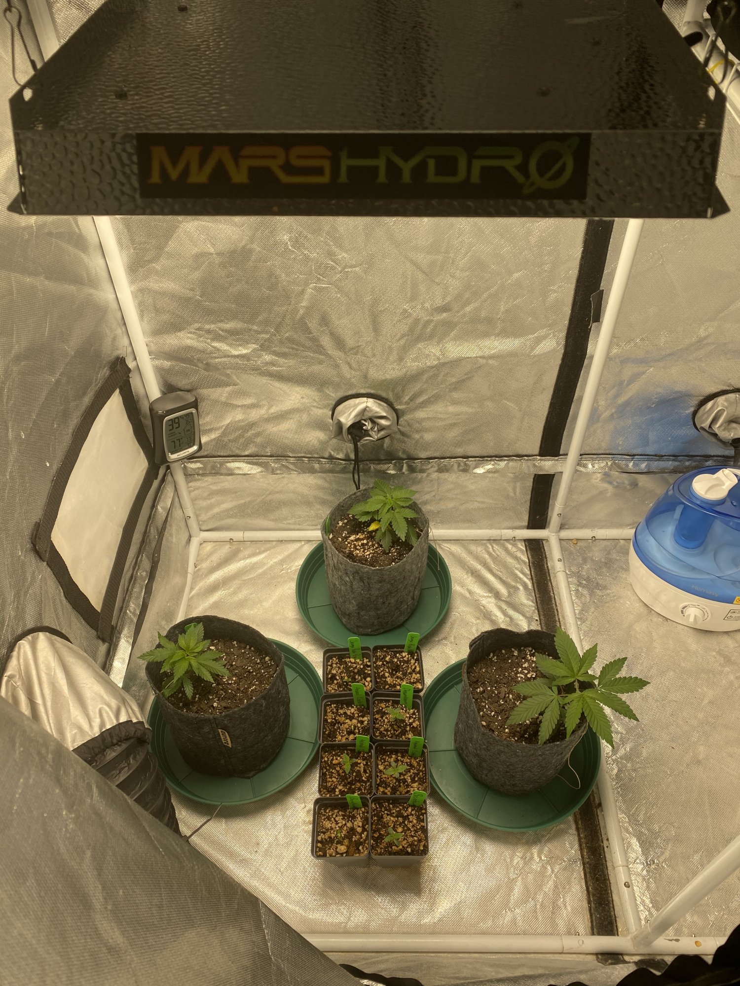 Mars hydro ts600watering questions