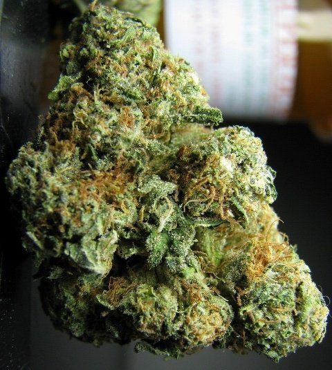Mary Jane F2