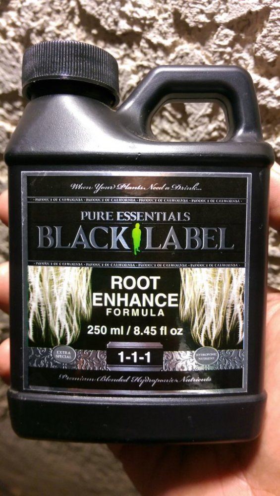 Massive roots root booster winner test