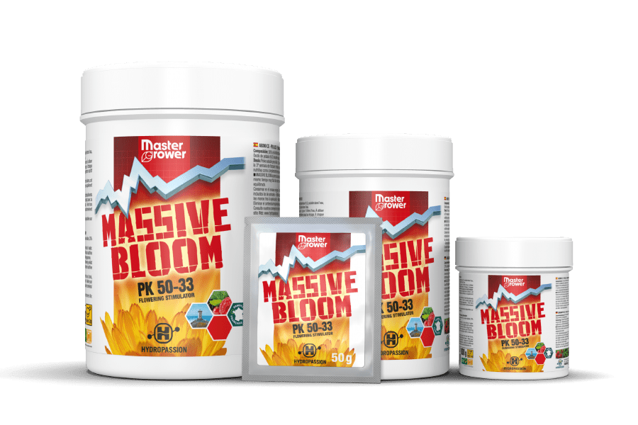 MassiveBloom
