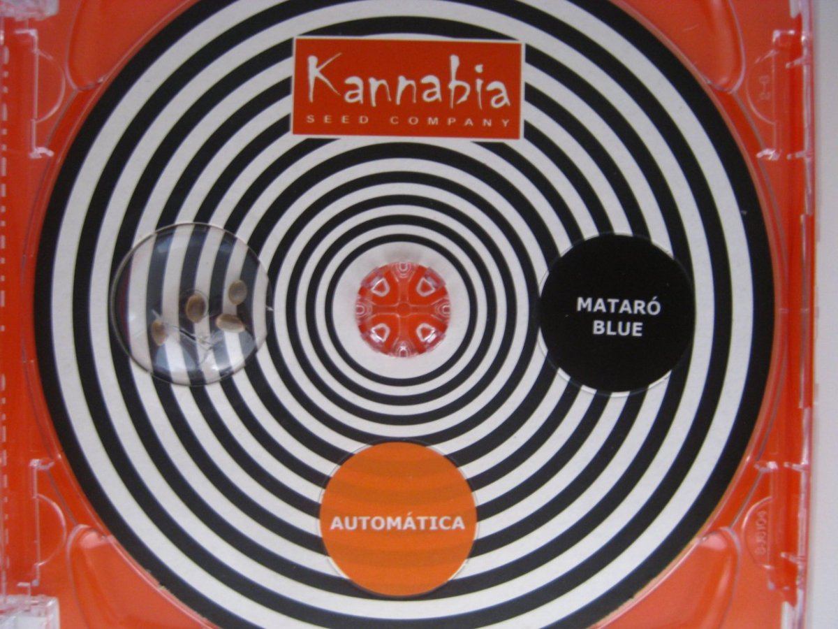 Mataro blue