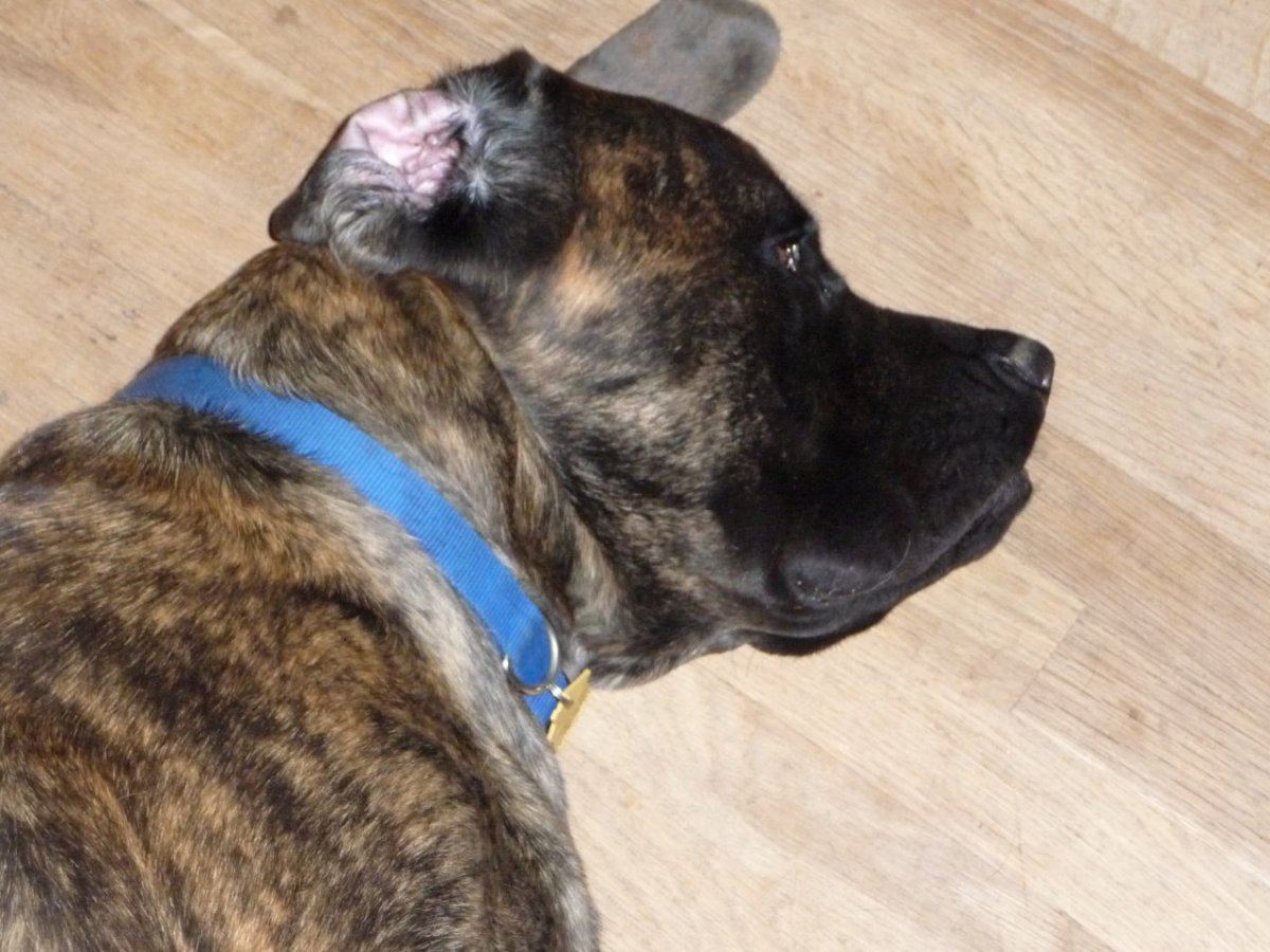 Max