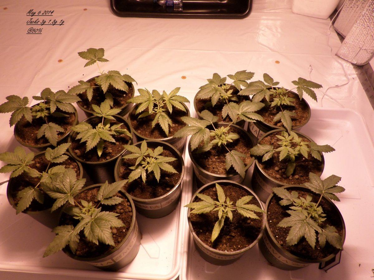 May6 Pic3
