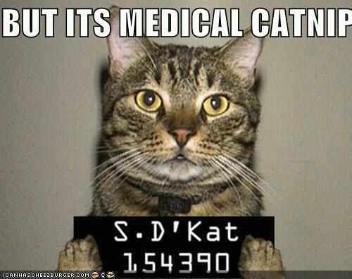 Mednip