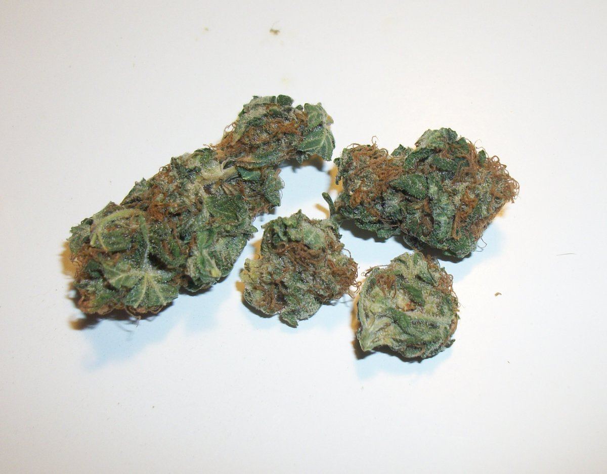 Meds 007