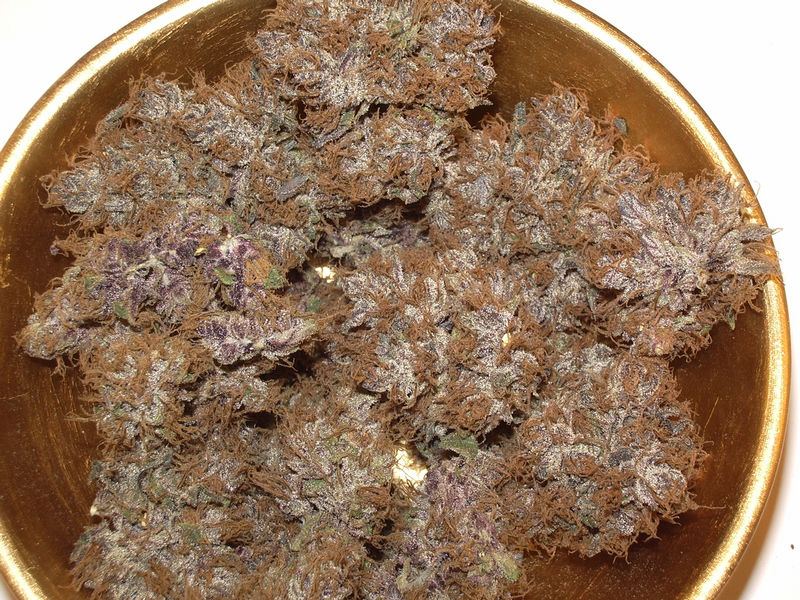 Mendopurp