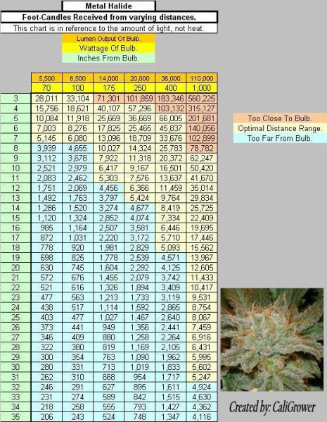 MH Light Distance Chart