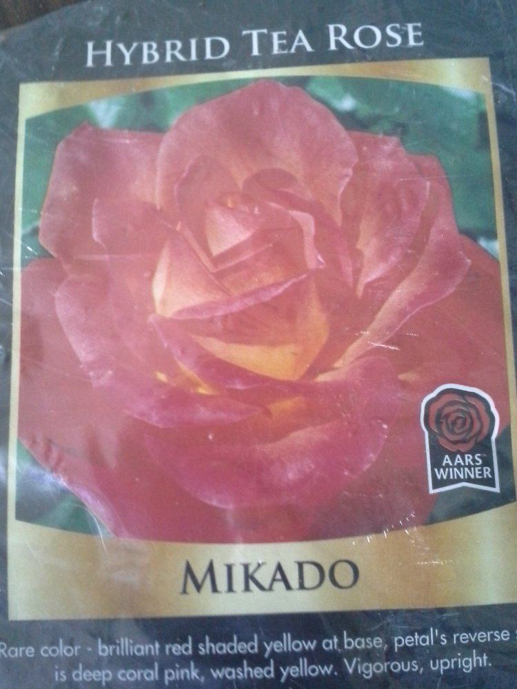 Mic