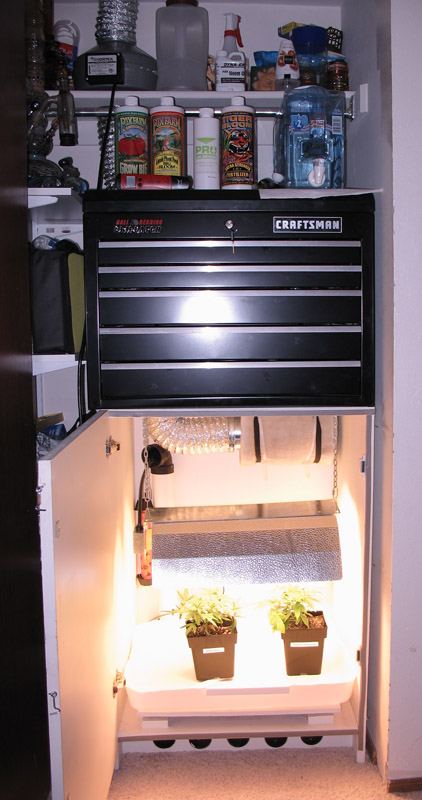 Micricab tool box stand