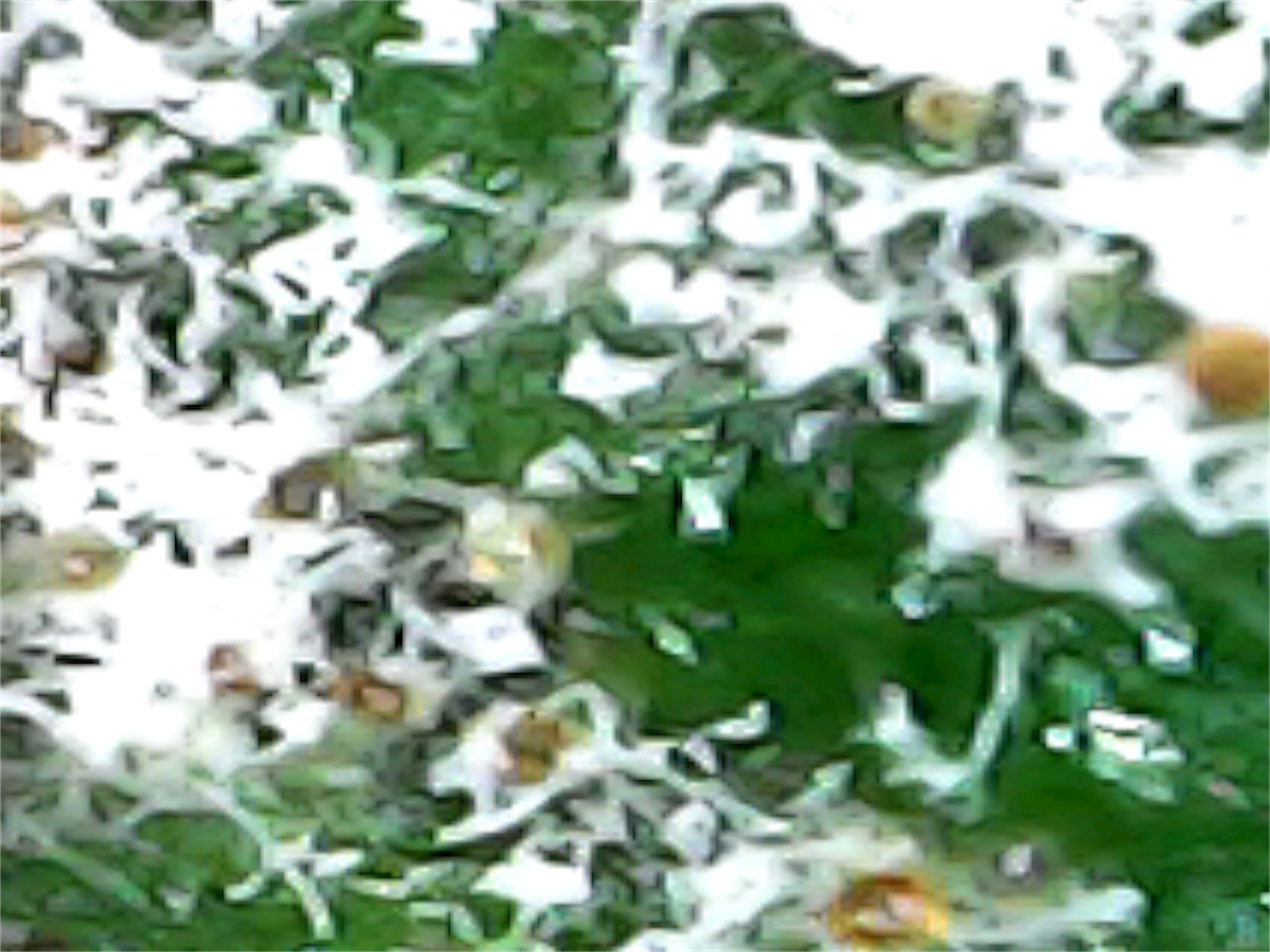 Mildew02