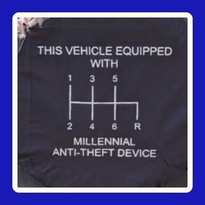 Millennial anti theft device 1