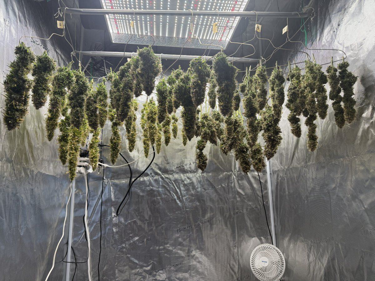 MimHarvest