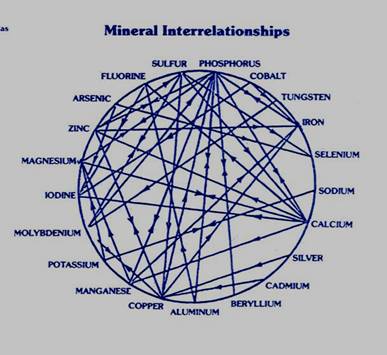 Mineral interaction chart