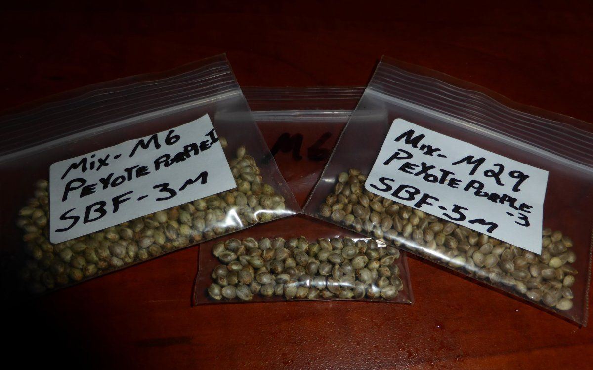 Mix 6 29