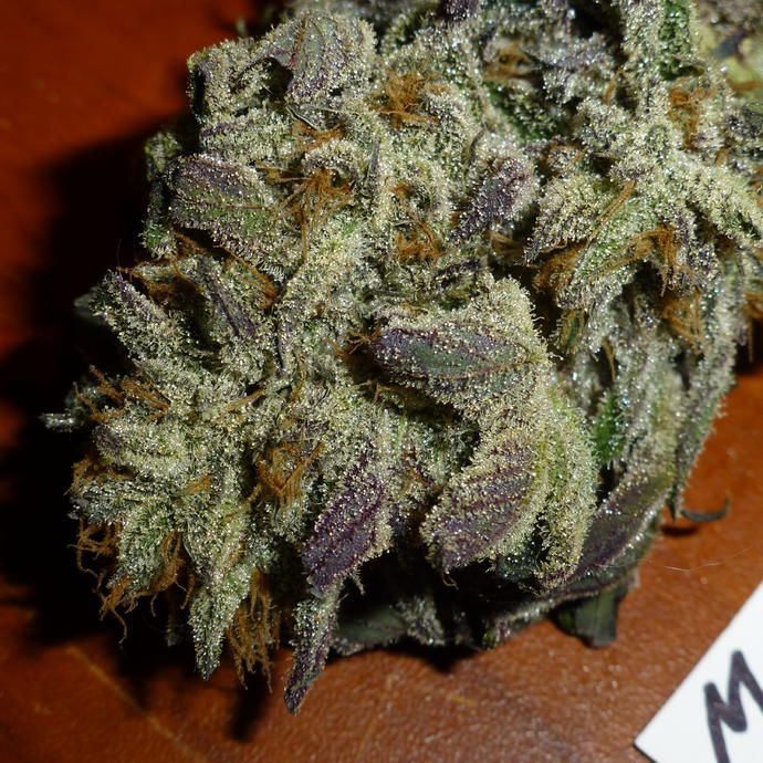 Mix M29