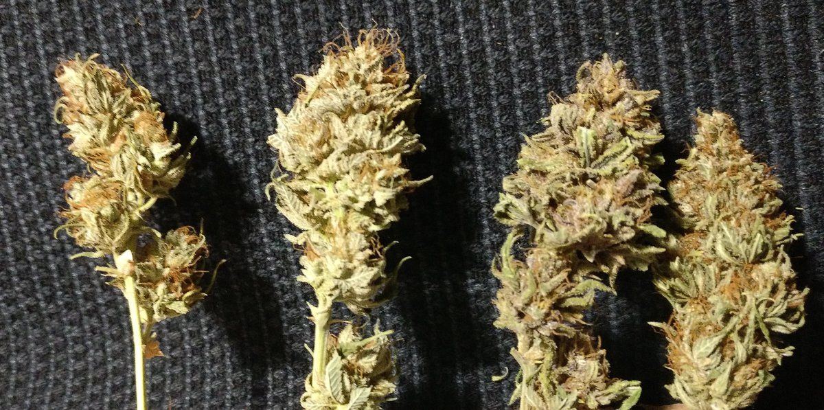 Mixed2