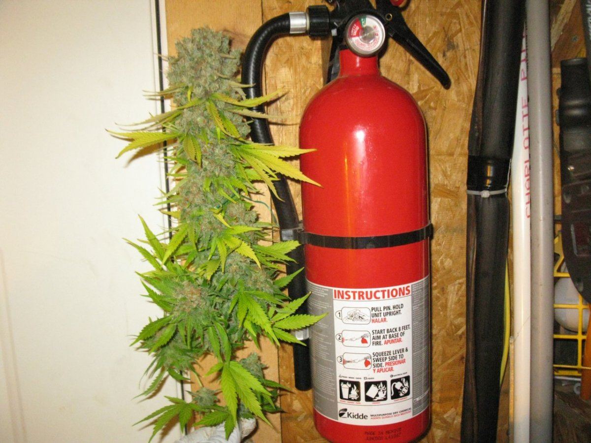 Mk dro  co2 025
