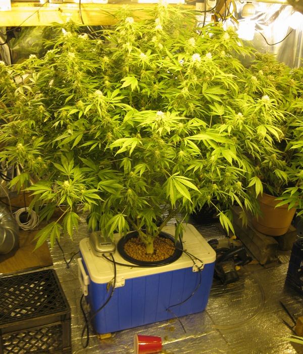 Mk og003