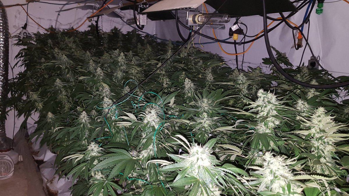 Mmb 35 days sk rd lhb