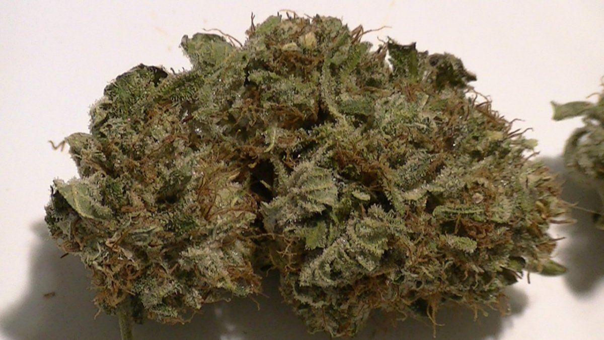 Mmb seed drop 10 6