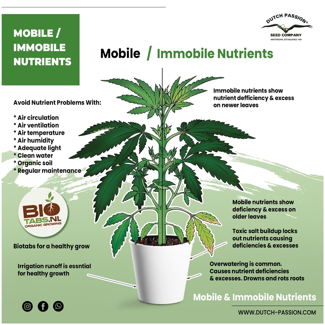 Mobile and immobile nutrients