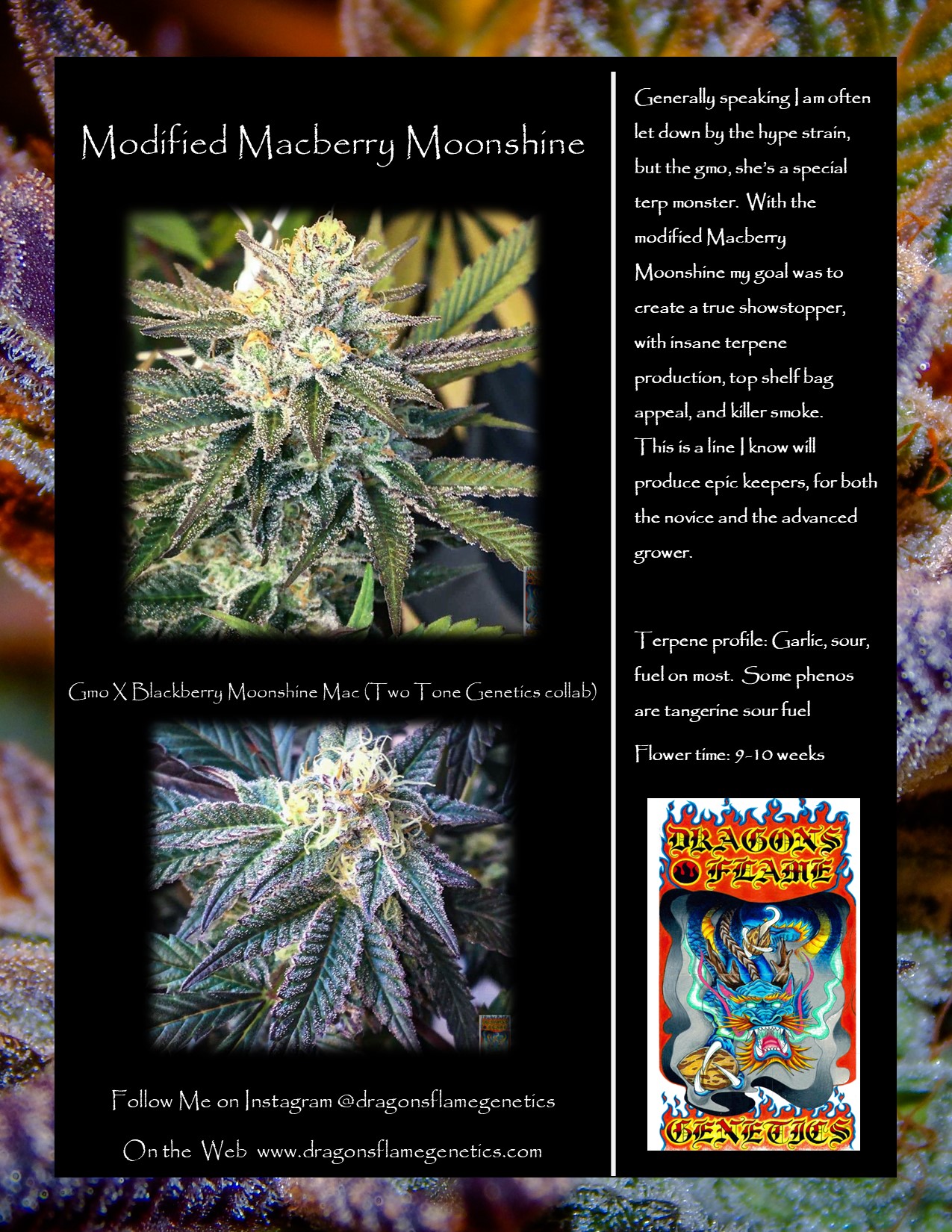 Modified macberry promo