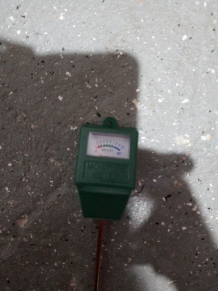 Moisture Meter