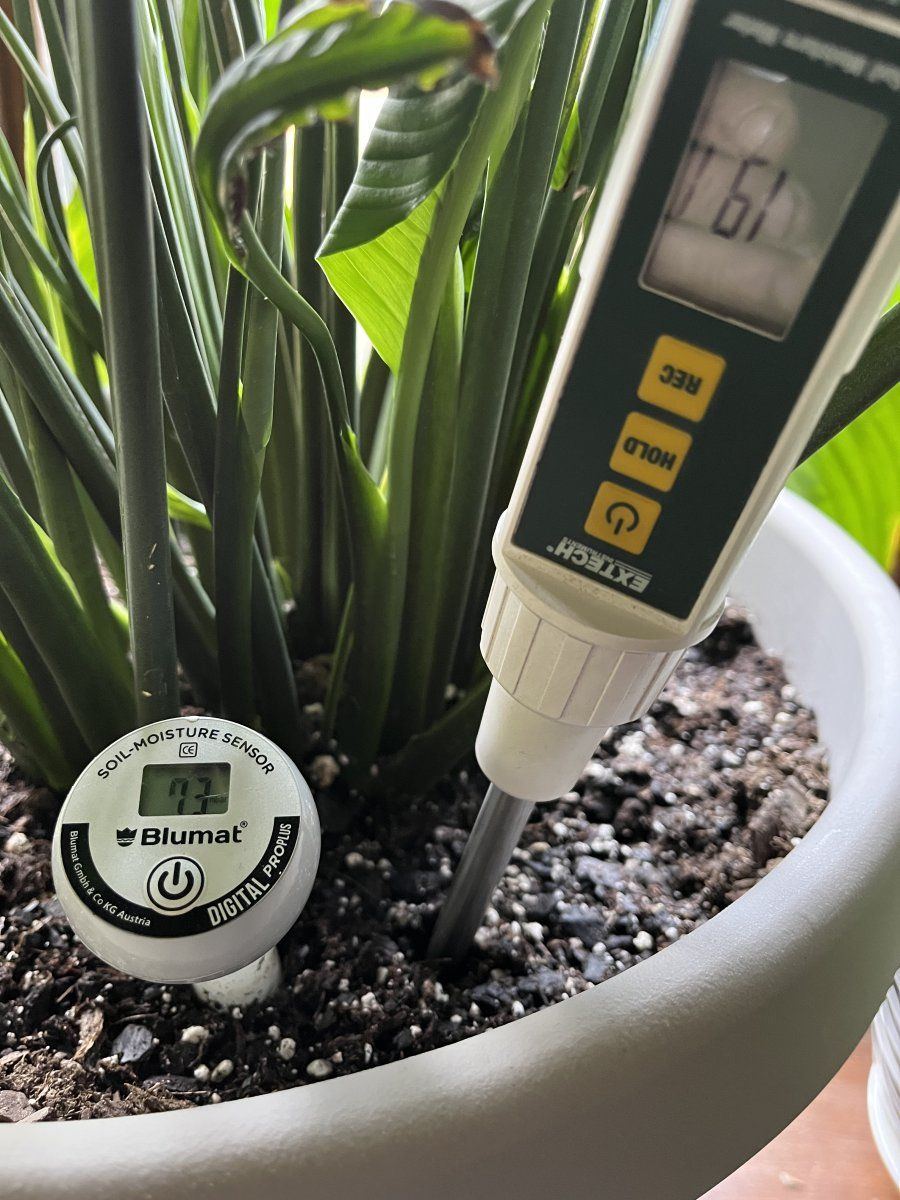 Moisture probe