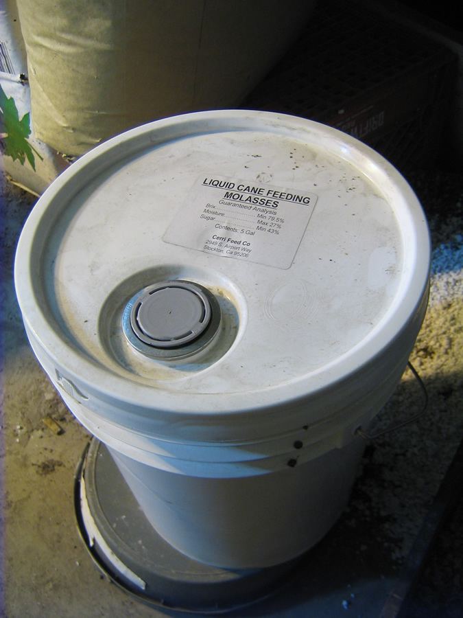 Molass 5gal