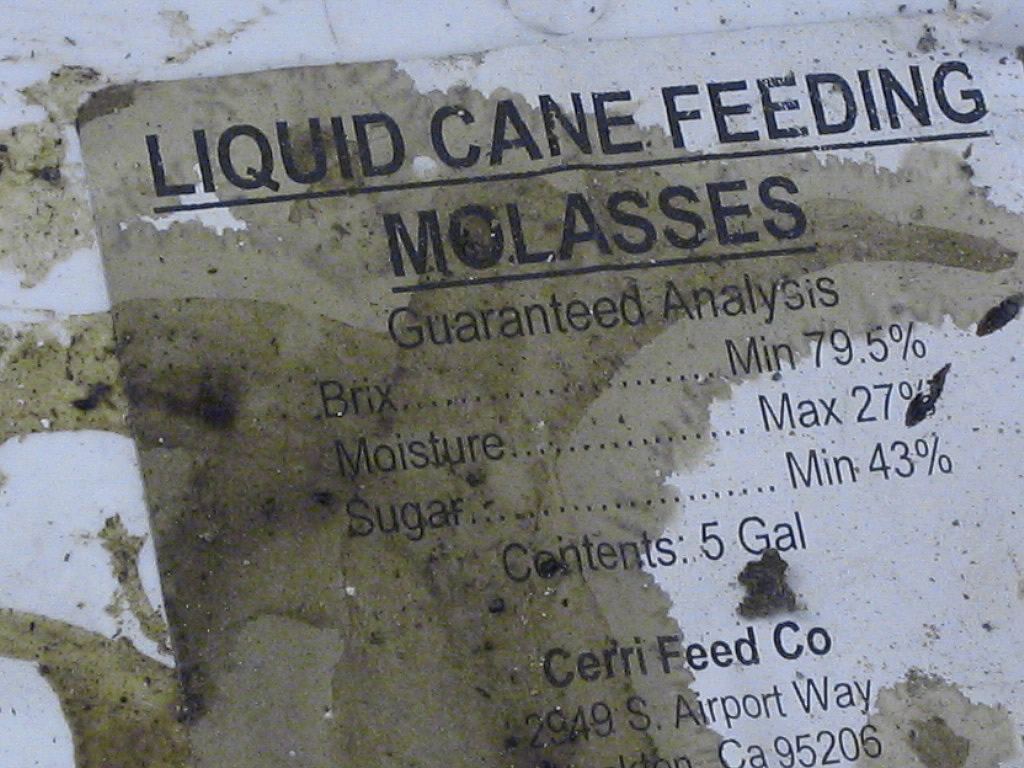 Molasses