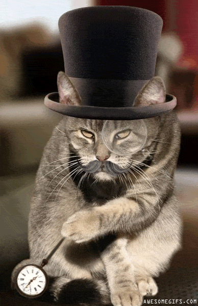 Monacle cat