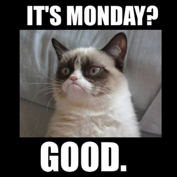Monday meme 12 1