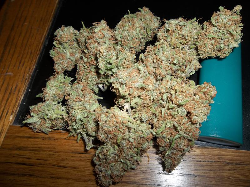 Monkey paw3