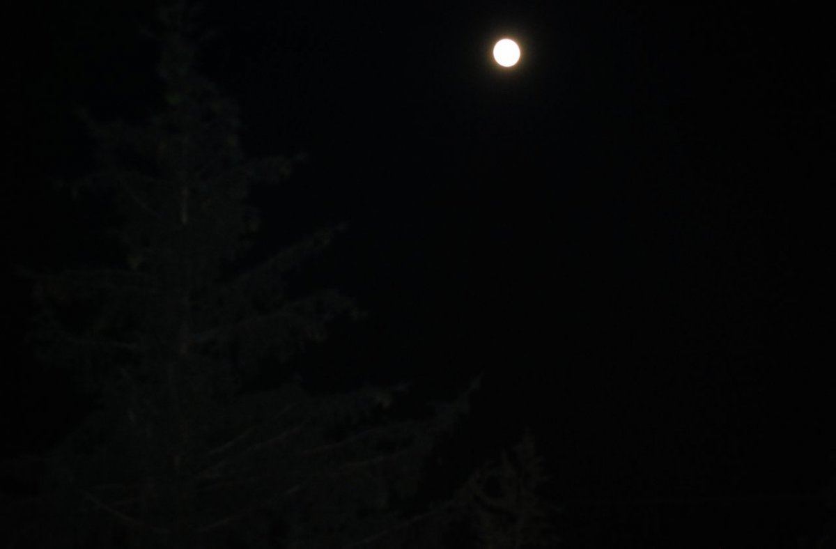 Moon 2