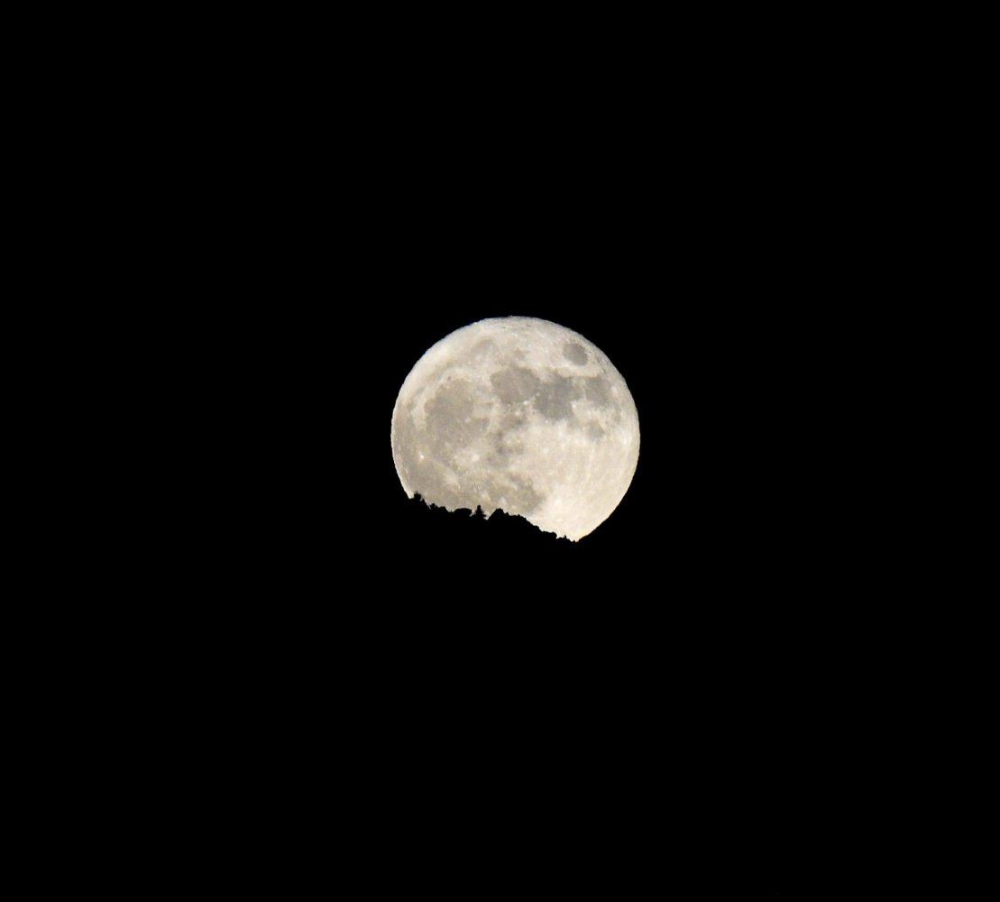 Moon555555555555555555555555