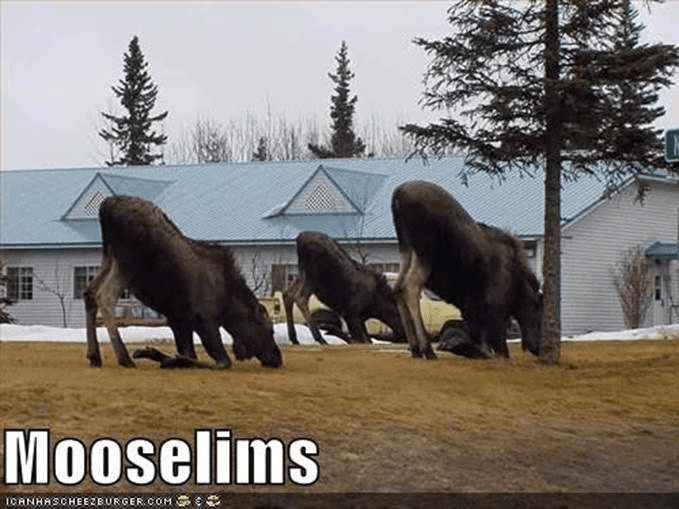 Mooslems