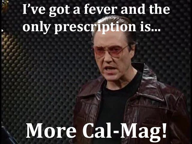 MoreCalMag