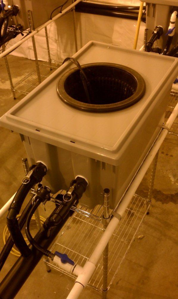MPB bucket