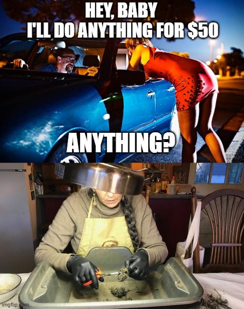 Mqy15phcnaf91