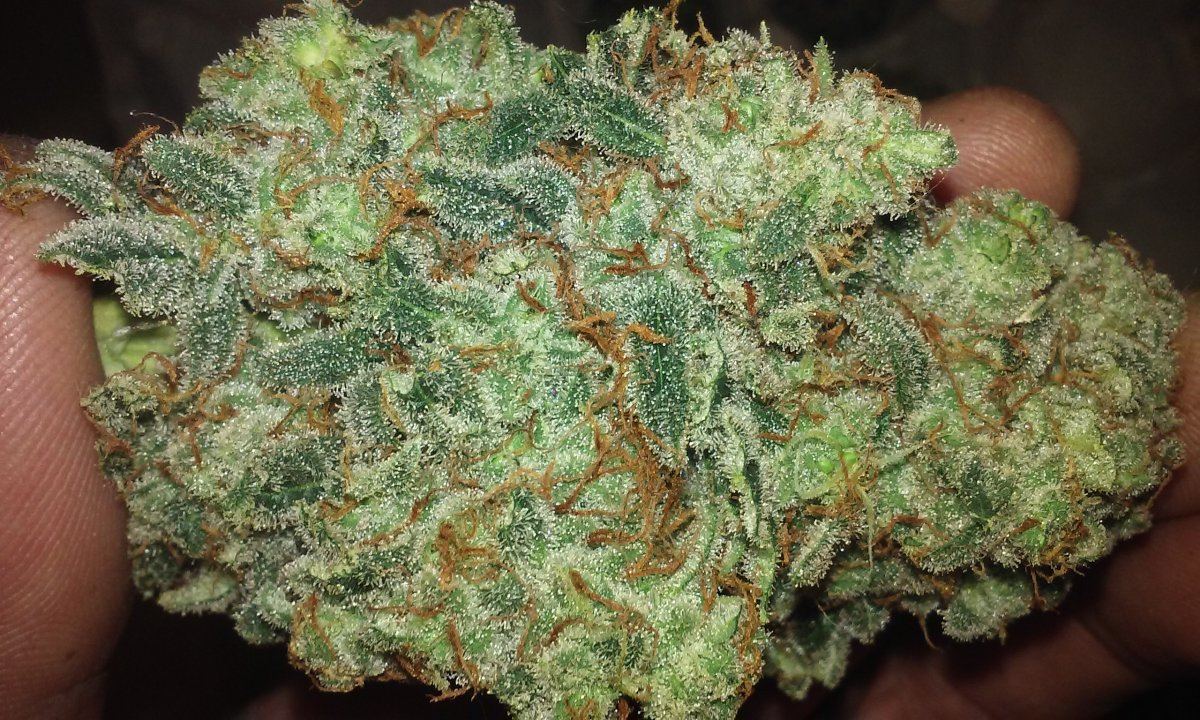 Mr Frosty