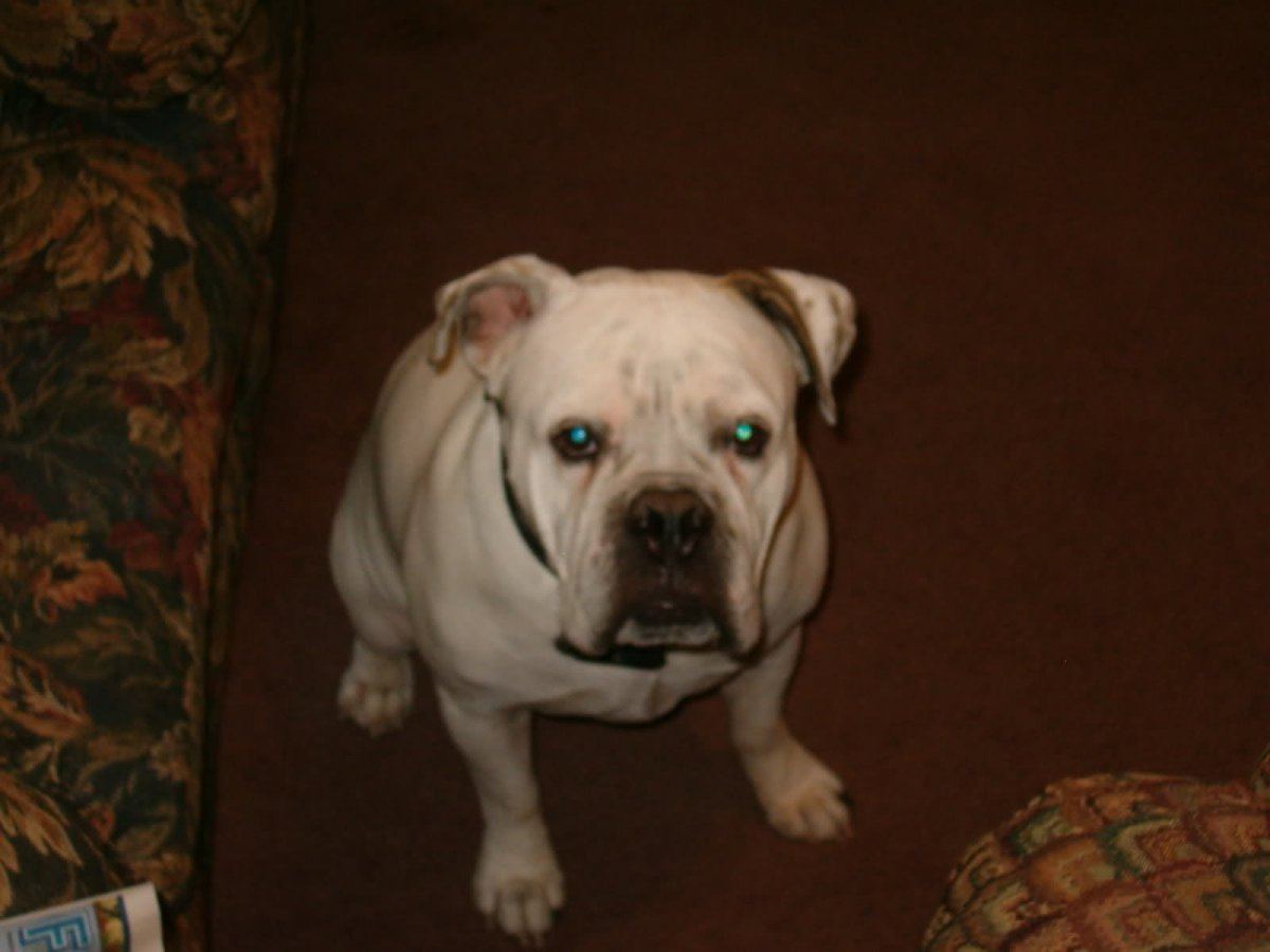 Mr grumpy   Copy