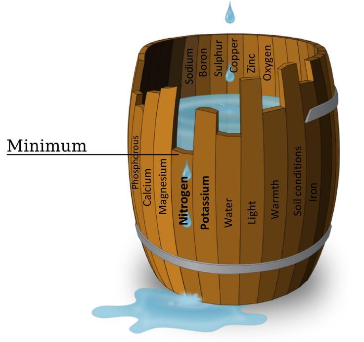 Mulders chart and soil nutrient interaction 3